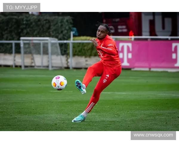 德甲球队波鸿队的外号来源及球队文化介绍